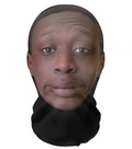 Celebrity Masks